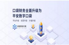 平安银行独辟蹊径 数字口袋备受关注